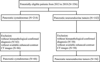 Application of CT-Based Radiomics in Discriminating Pancreatic Cystadenomas From Pancreatic Neuroendocrine Tumors Using Machine Learning Methods